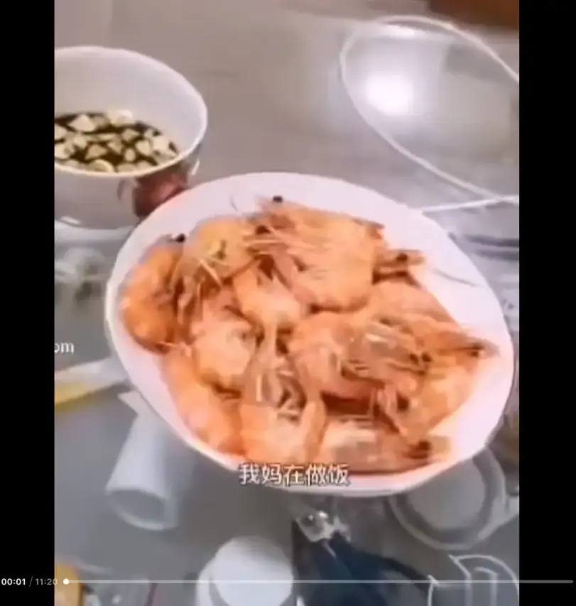 《大虾母子厨房完整版》高清视频在线观看 - 猎奇视频揭开梗的神秘面纱 - 百度夸克迅雷网盘免费资源 - 大虾母子厨房完整版全集